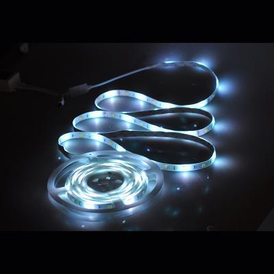 China LANDSCAPE 12V/DC 2A LED Strip Light 12 Ft White Color Smart Strip Light for sale