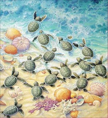 China Cunzhen CLASSIC Customized 30*40cm Sea Turtle Xq-7618 Summer Diamond Painting Custom Diamond Painting for sale