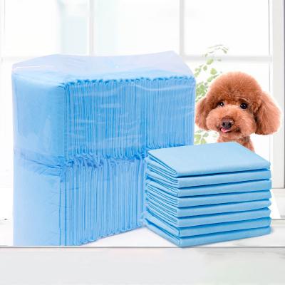 China High Absorbency Pet Diapers Eco-Friendly Disposable Diaper Protection Disposable Pet Diaper For Cats for sale