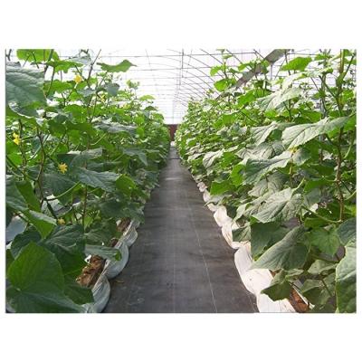 China Weed Prevention Growing Agricultural Greenhouse Mat Needle Punch Weed Control Fabric Ground Cover Fabric Accessories UV Equipment for sale