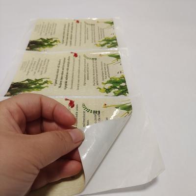 China China Factory Customized PVC Stickers Clear Vinyl Labels Waterproof Adhesive Printing Sticker Customized Flat Sheet Label Sticker for sale