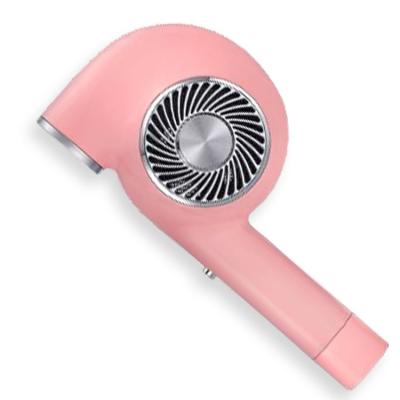 China New Wholesale 1000W Hair Dryer Salon Use Ionic Fast Heating Infrared Negative Hair Dryer Designed Ionic Ion Negative Hair Dryer for sale