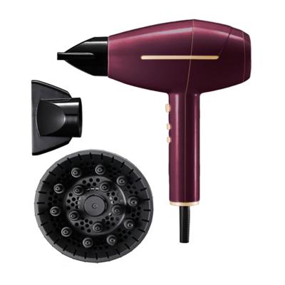 Chine Factory Price 2000-2400W AC Motor Ionic Hair Dryer with 2 Rocker Control Speed ​​and Temperature à vendre