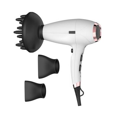 Chine Hot Selling Ionic Removable Filter Cover Professional Hair Dryer With AC Motor / EMC CE Approved à vendre