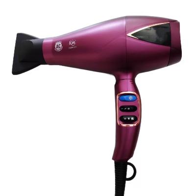 Chine New Design Professional Ionic Electric Ionic Hair Dryer High Quality Hair Dryer à vendre