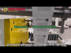 PRY-1502 Two Colors Automatic Small Mini Flexo Label Printing Machine