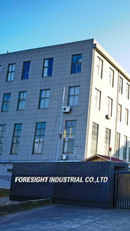 Verified China supplier - Ningbo Jiangbei Foresight Electronic Co., Ltd.