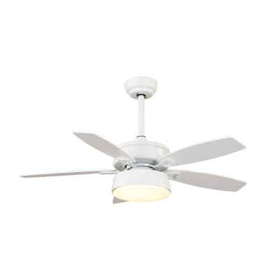 China With light decorative acrylic shade, blade fancy retractable ceiling fan, iron fan light ceiling fan with light and remote for sale