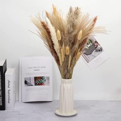 China Custom Packing Amazon Durable Large Pink White Beige Dry Fluffy Pampas Grass Natural Wedding Decor Preserved Flower Dried Pampas Grass for sale