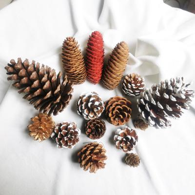 China Mini Dried Pine Cones Wooden Christmas Decoration Natural Tree Hanging DIY Handwork for sale