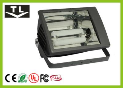 China Exterior Lighting Induction Outdoor Flood Light 100 Watt Eco-Friendly 3000K - 6000K for sale