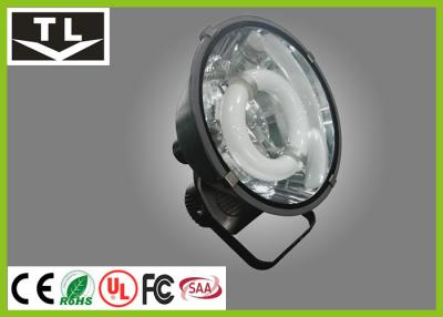 China E27 Electrodeless Induction Flood Light 80 Watt For Pool / Park / Billboard Lighting for sale