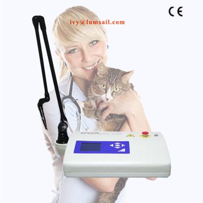 China Veterinary Equipment Animal Disease Laser Therapy Apparatus CO2 Laser Surgical Therapy In Veterinary Surgery for sale