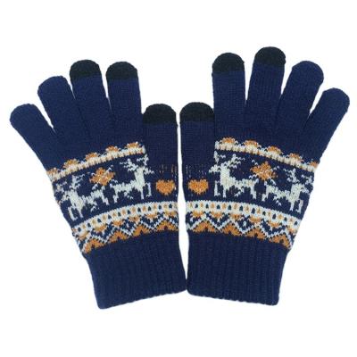 China Four Seasons Suitable For Multiple Scenarios Riding Motorcycle Winter Touch Screen Gloves for sale