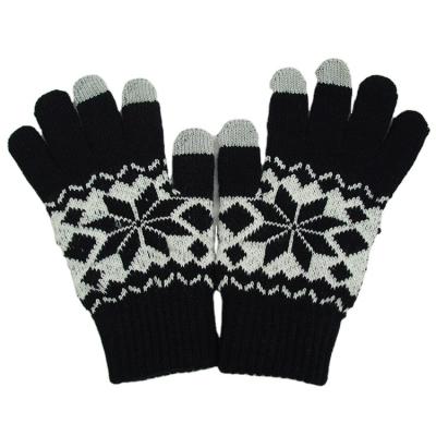 China Innovative Four Seasons Function Women and Men Touch Screen Winter Warming Gloves for for sale