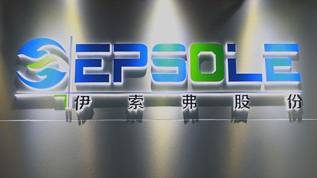 Verified China supplier - Hangzhou Epsole Technologies Co., Ltd.