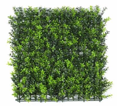 China Christina Lysimachia Double Color Artificial Green Grass Wall 50*50cm Outdoor Ultraviolet Proof Artificial Grass Mat for sale