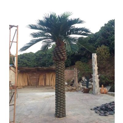 China Indoor and outdoor large artificial palm tree tops for sale High quality indoor and outdoor large artificial palm tree tops for sale for sale