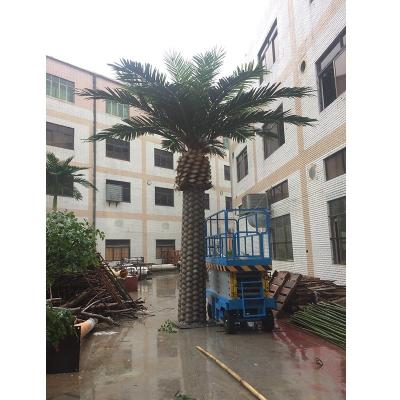 China Outdoor artificial date palm tree 6m height with 32pcs leaves date palm artificial plastic date palm trees for sale for sale