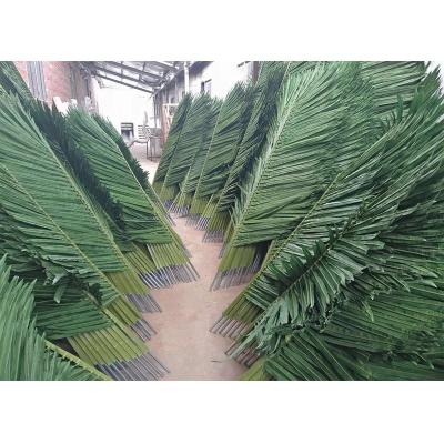 China 2.6m Indoor UV Resistant Height Outdoor Artificial Palm Leaves, Artificial Coconut Tree Fronds, Outdoor Round Tube Coconut Leaf for sale