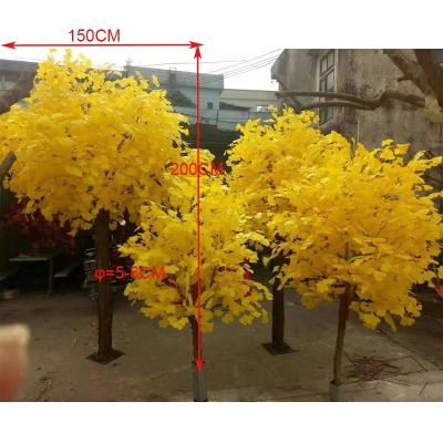 China Cheap Real Touch Artificial Ginkgo Tree, 120CM/150CM/180CM/200CM Height Ginkgo Biloba Tree For Sale, Artificial Tree Ginkgo Price for sale