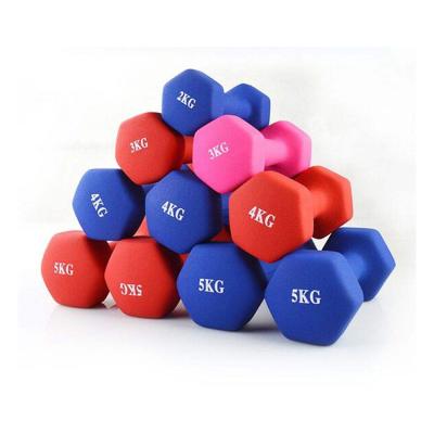 China High Quality And Best Price PVC/Iron Bodybuilding Fitness Rack Customize Color Hexagonal Dumbbells For Bodybuilding Fitness for sale