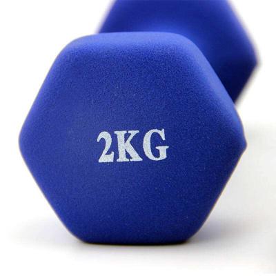 China High Quality Universal Women Bodybuilding Colorful Dumbbell Set For Home Fitness for sale