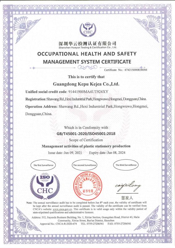 ISO 45001 - Guangdong Kepu Kejea Co. , Ltd.