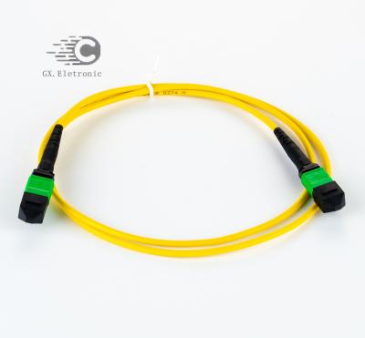 China G652D / G657A1 / G657A2 MPO MTP Singlemode Telecommunication Network Patch Tie 8 12 24 Trunk Cables for sale