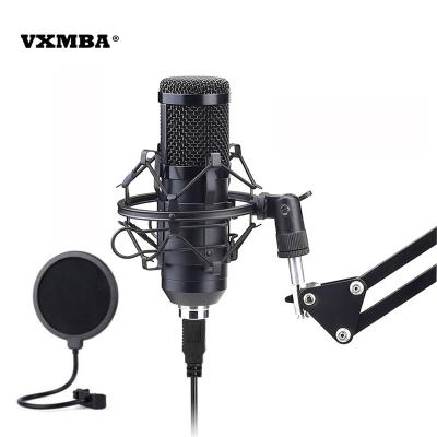 China Professional 192KHz/24Bit USB Recording Studio Cable Microphone BM700 BM800 USB Microphone Hot Selling Condenser Microphone Set For Live Webcast for sale