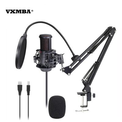 China USB Microphone High Sampling Rate 192Khz/24bit Computer USB Microphone v500usb Condenser Microphone for sale