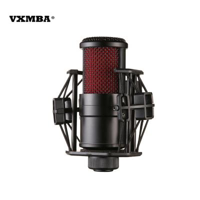 China Condenser microphone + sound card set V500 external professional live recording condenser microphone suitable for youtube and podcast online recording for sale