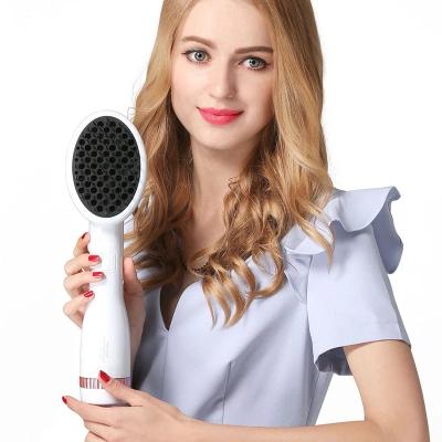 China New Model Nano Negative Ceramic Ionic Dog One Step 2 In 1 Blower Pet Hair Dryer Brush for sale