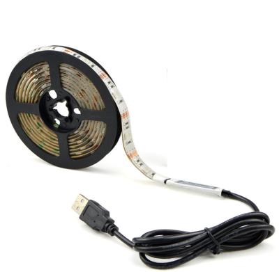 China Wholesale Customized Home/Hotel /Office/Garden/Road/Landscape OEM ODM Rope Light DC5V 5050SMD LED Decorative Led Strip for sale