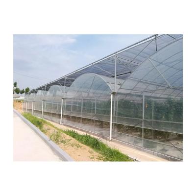 China Stable structure easily assembled to proper stock customized elastic band stretch film greenhouse for sale