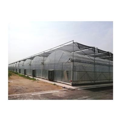 China Stable structure easily assembled hot sale accept custom plastic film greenhouse mushroom planting film greenhouse for agaricus for sale