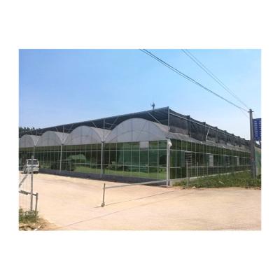 China Stable structure easily assembled factory direct sale customized customization pe film greenhouse UV stretch film greenhouse for sale