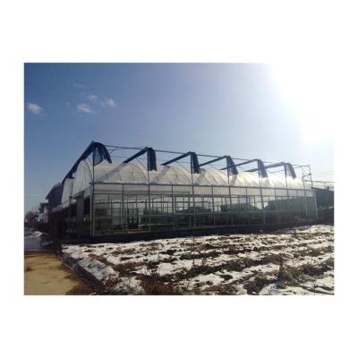 China Stable Structure Easily Collected Discount Price Customized China Mushroom Planting Film Greenhouse For Agaricus for sale