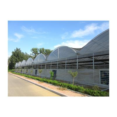 China Stable structure easily assembled factory wholesale accept custom UV pe plastic film greenhouse for sale