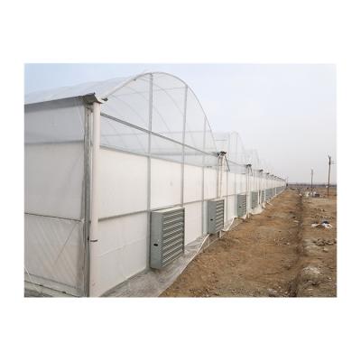 China Stable Structure Easily Assembled Multi-span Agricultural Greenhouse Plastic Pe Film Greenhouse New Product Customized for sale