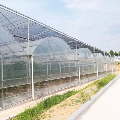 China Stable structure easily assembled multi-span plastic film greenhouse price for sale