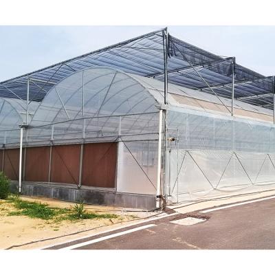 China Stable Structure Easily Assembled Agricultural Greenhouse Weather-Resistant Plastic Film for sale