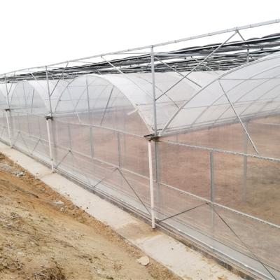 China Stable Structure Easily Assembled Multi-span Tunnel Film UV Treated Plastic Agricultural Greenhouse Customized Greenhouse Plastic Sheet Professional Supply for sale