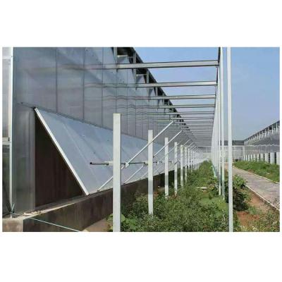 China Stable structure easily assembled hydroponic system multi-span polycarbonate greenhouses for sale for sale