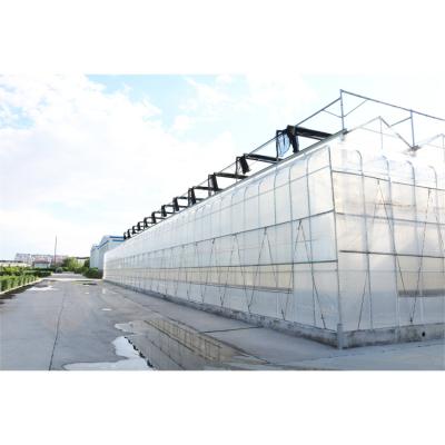 China Deft Green Polycarbonate House Manufacturer Customized Tropical Garden Polycarbonate Panel Greenhouse for sale