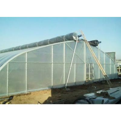 China Stable Structure Easily Assembled Chinese Agricultural Winter Tunnel Greenhouse On Sale for sale