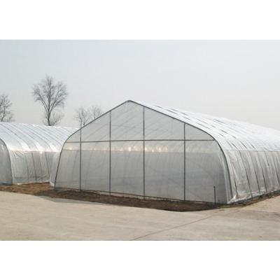 China Stable structure easily assembled commercial aquaponics systems agriculture tunnel greenhouse for sale for sale