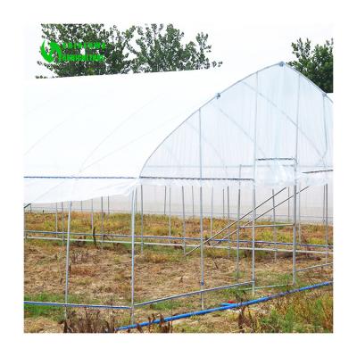 China Stable Structure Easily Assembled 2022 Wholesales Customized Customization 16M Wide Tunnel Greenhouse For Aeroponic System for sale