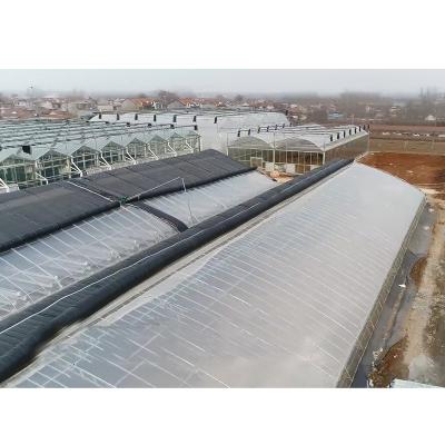 China Commercial Passive Plastic Thermal Insulation Quilt Low Cost Plastic Solar Tunnel Greenhouse for sale