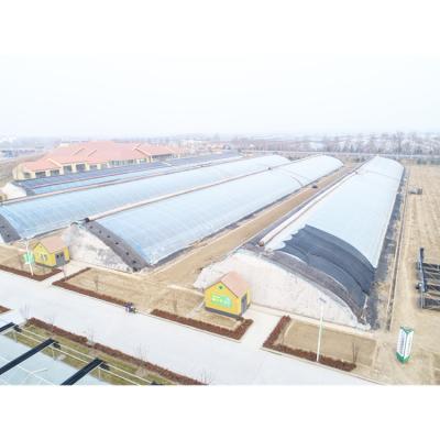 China Stable Structure Easily Assembled Sunlight Solar Drier Greenhouse Winter Chinese Style Chinese Style HL For Sale for sale